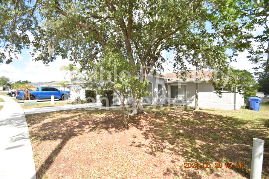 stress free property management