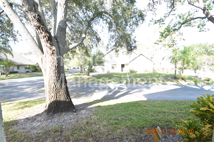 stress free property management